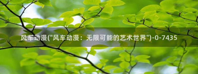 斗破苍穹动漫：风车动漫(\