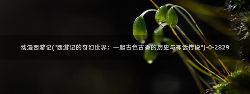黄片动漫：动漫西游记(\