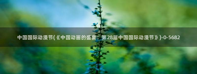 51动漫：中国国际动漫节(《中国动画的盛宴：第28届中国国际动漫节》)