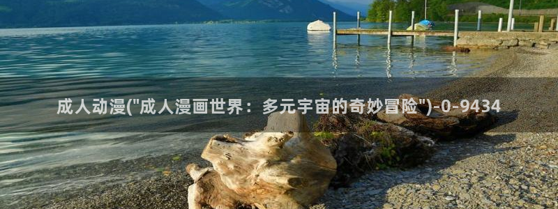 一人之下动漫：成人动漫(\